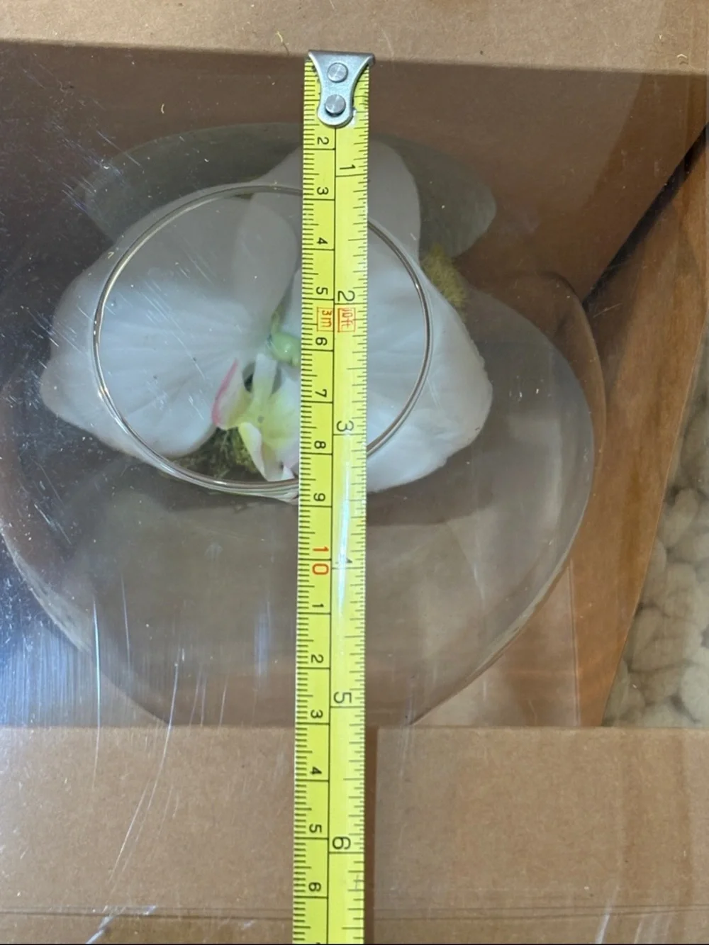 Clear Glass Orb Hanging Terrarium with White Flower Accent